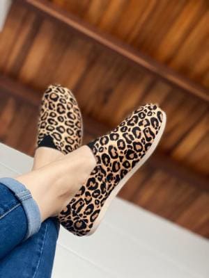 Leopardo-1.jpg